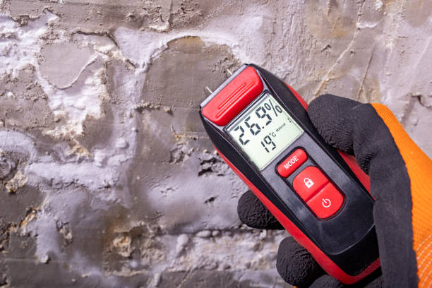 Best Post-Remediation Services in Hilton, NY