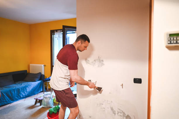 Best Emergency Mold Remediation in Hilton, NY